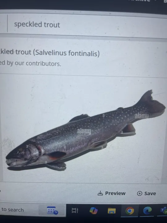 Beneath the Waves: Scuba Diving Adventure in Kaveri River Basin